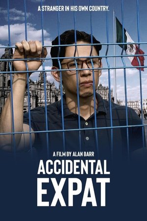 Accidental Expat (2025) Hindi (MULTI AUDIO) – –