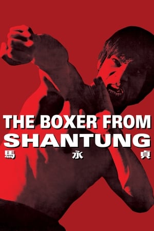 Boxer from Shantung (1972) Hindi Dual Audio [1.2GB]