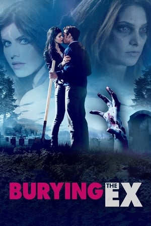 Burying the Ex 2014 Hindi (HQ Dubbed) [830MB]
