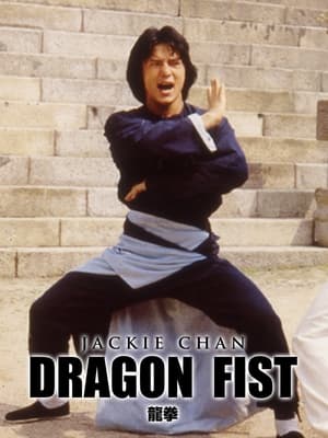 Dragon Fist 1979 Hindi Dual Audio 300MB
