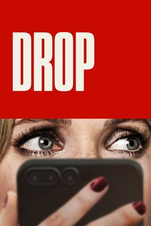 Drop (2025) Hindi (MULTI AUDIO) – –