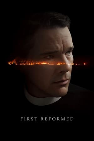 First Reformed 2017 Hindi Dual Audio 350MB