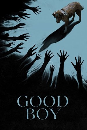 Good Boy (2025) Hindi (MULTI AUDIO) – –