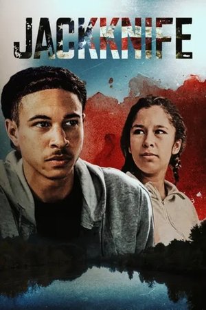 Jackknife (2024) Hindi (MULTI AUDIO) – –