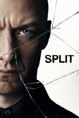 Split (2016) Hindi Dual Audio [1GB]