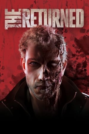 The Returned 2013 Dual Audio Hindi 300MB