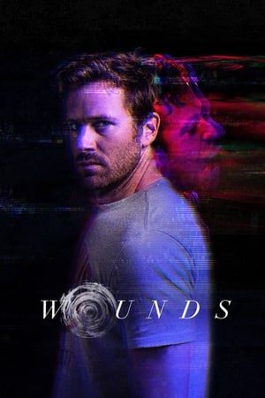 Wounds (2019) Hindi Dual Audio 300MB